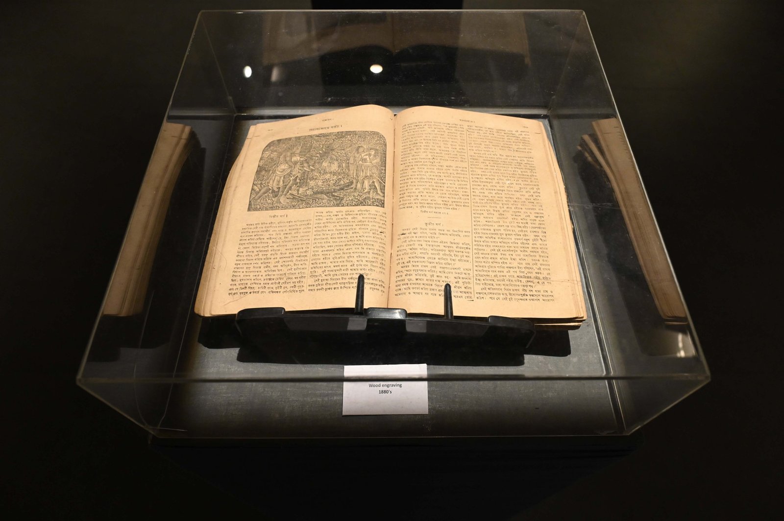 Exhibition Image 2